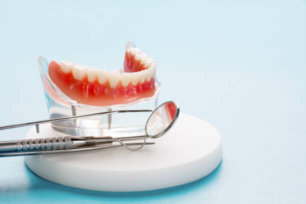 Best Preventive Dentistry  in Shirley, NY